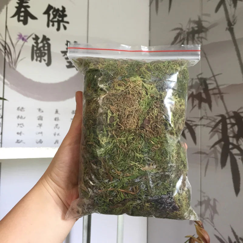 Natural 10g or20g Dry Real Green Moss Decorative Plants Vase Artificial Turf Silk Flower Accessories For Flowerpot Decoration