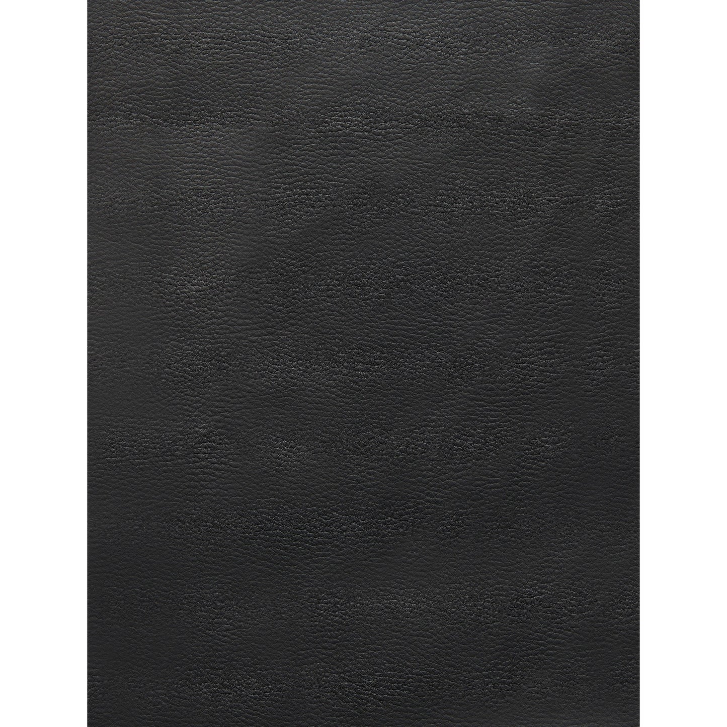 Set of 2 Modern Black Dining Chairs with Horse Shoe Style Metal Base-4