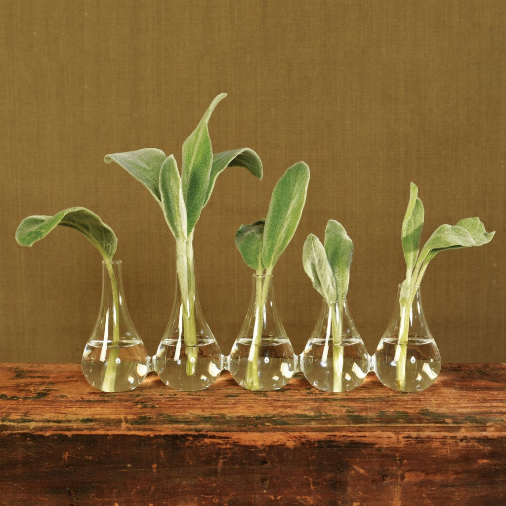 Quintuplet Set of Five Joined Glass Vases-3