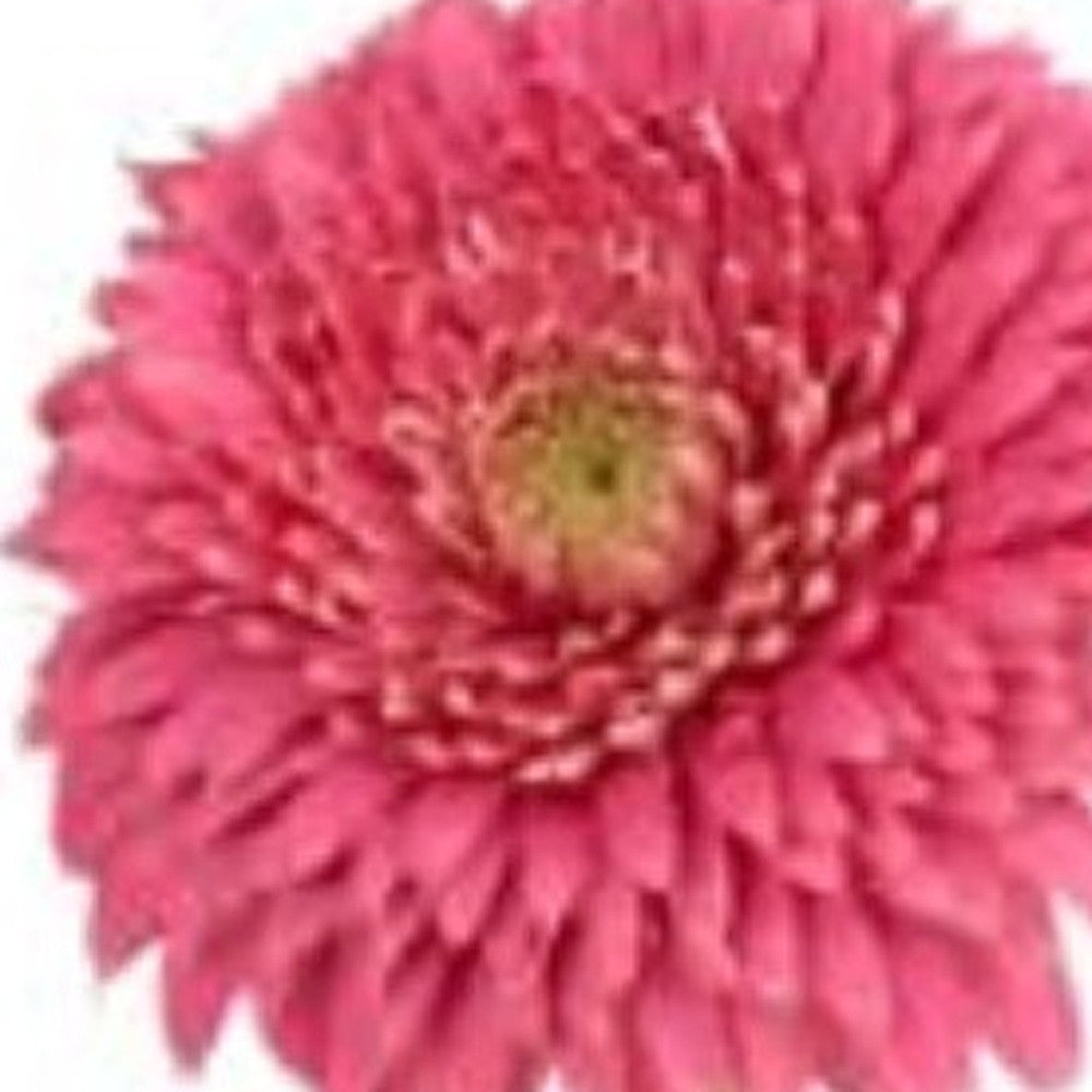 Modern Clear 8 Block Optical Crystal Vase-4