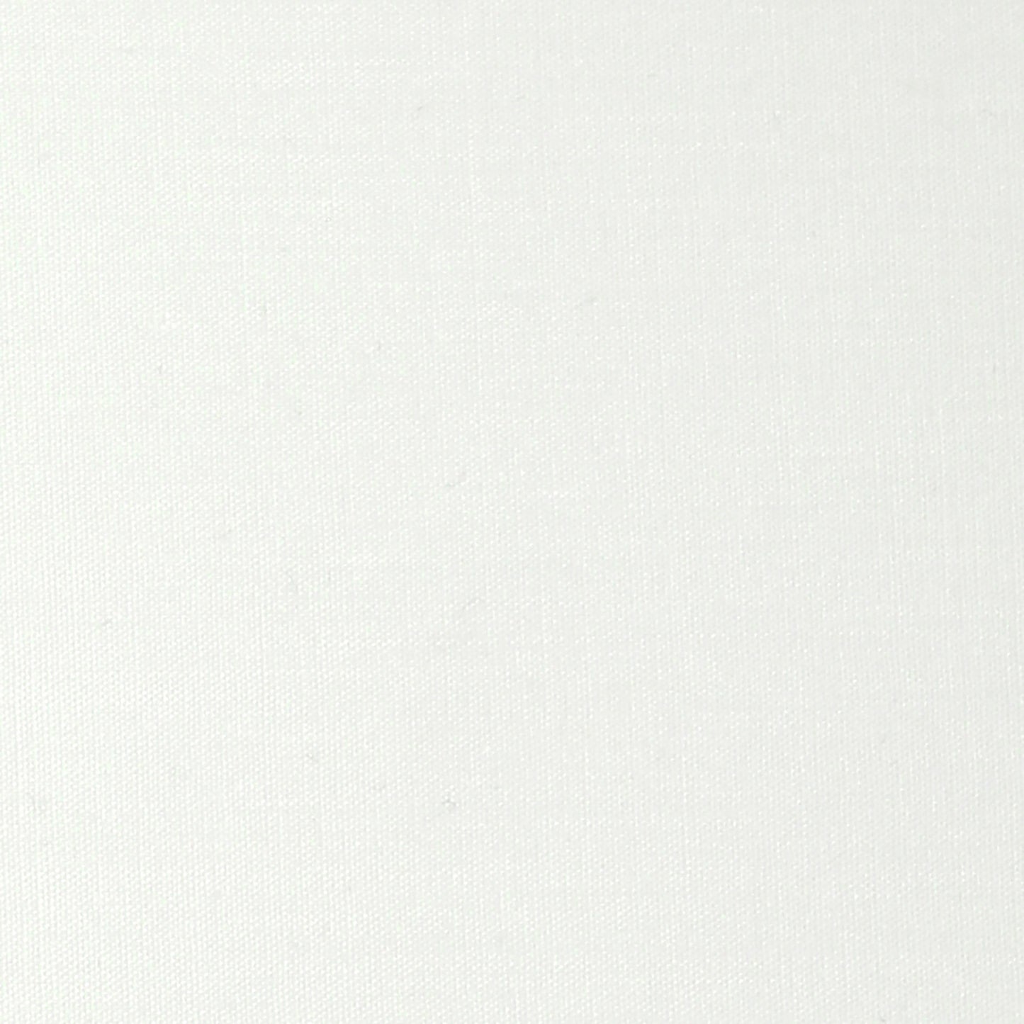 61" Black Two Light Floor Lamp With White Frosted Glass Drum Shade