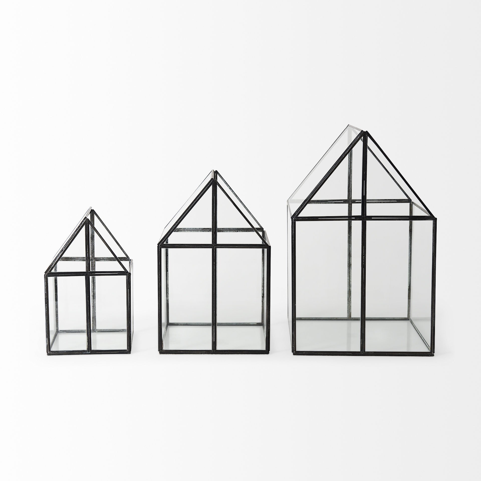 House Shaped Glass Terrarium-4