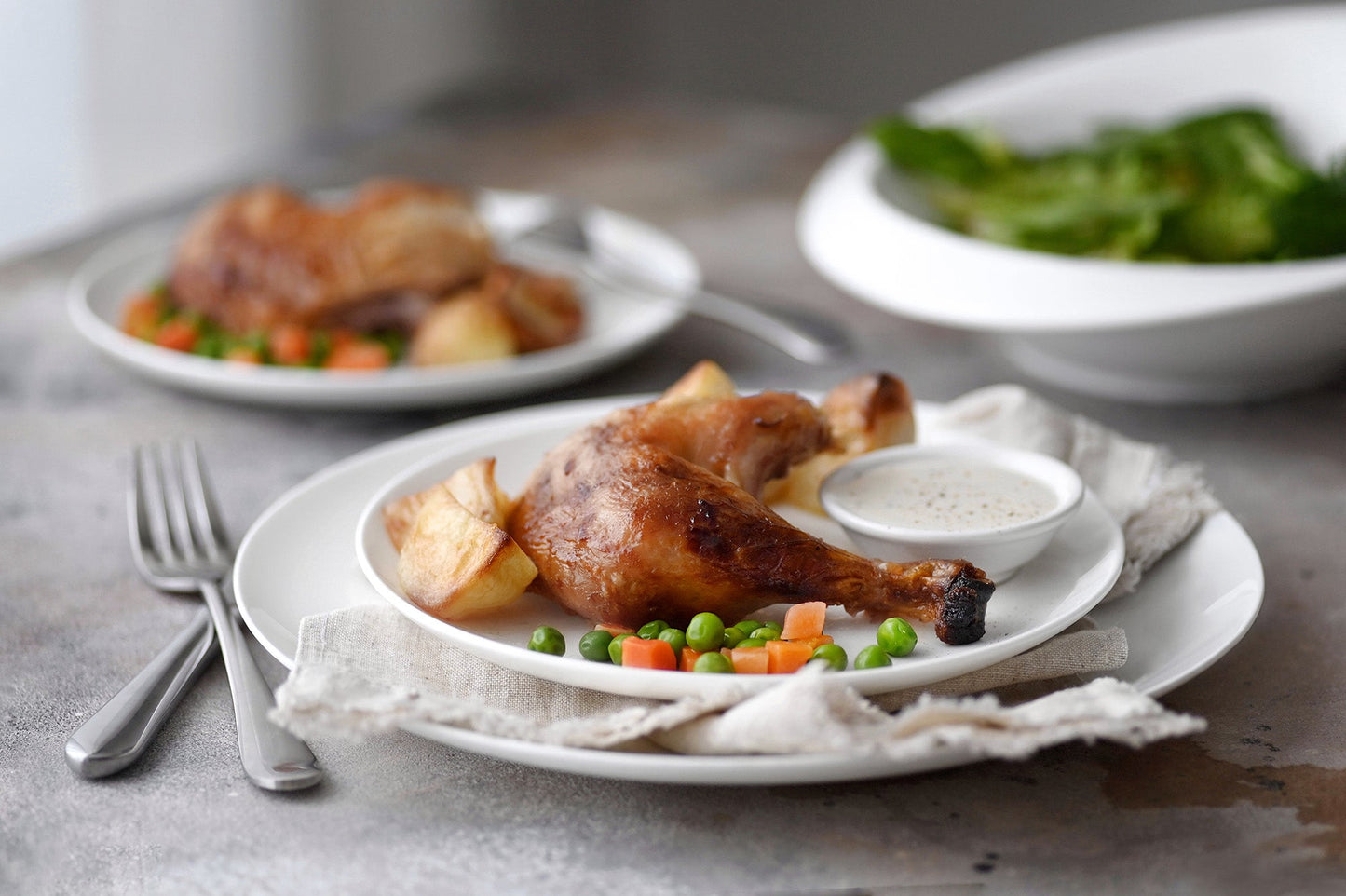 Professional Rolled Rim White Dinner Plate 10" inch | 25.5 Cm-11