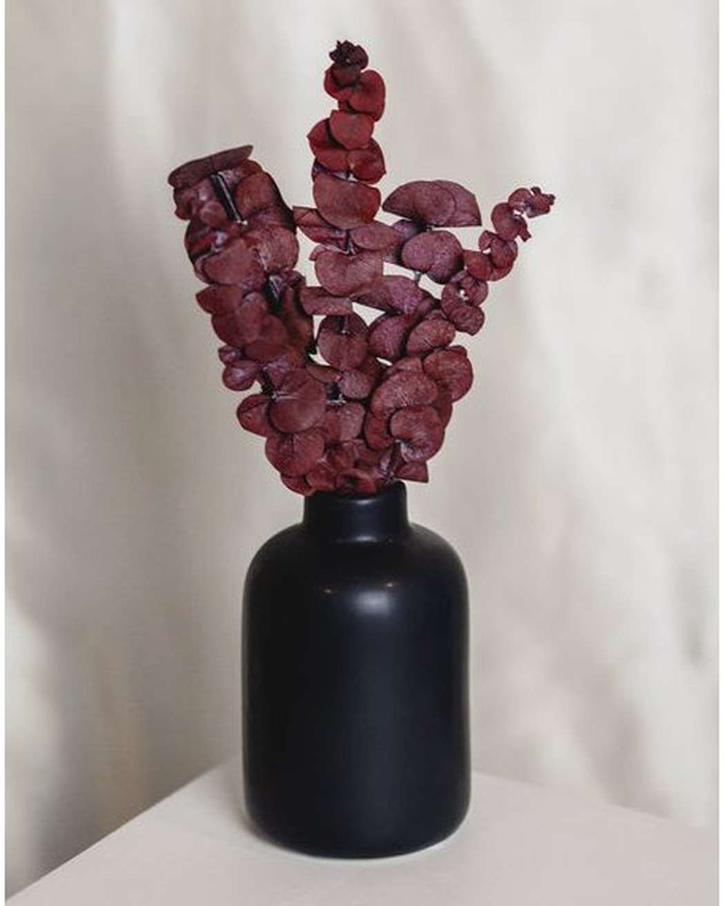 Mini Red Eucalyptus Bundle-0