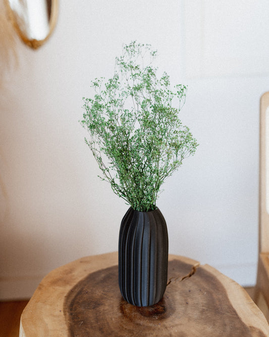 Green Baby's Breath (Gypsophila)-0