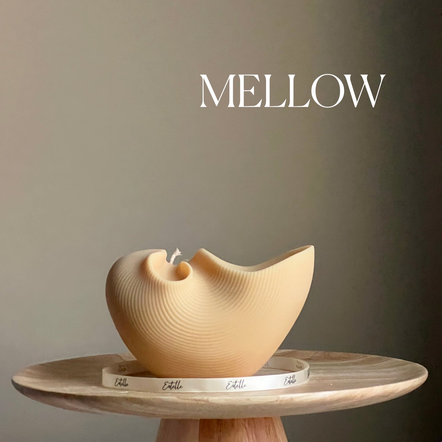 Huge Sea Shell Candle-5